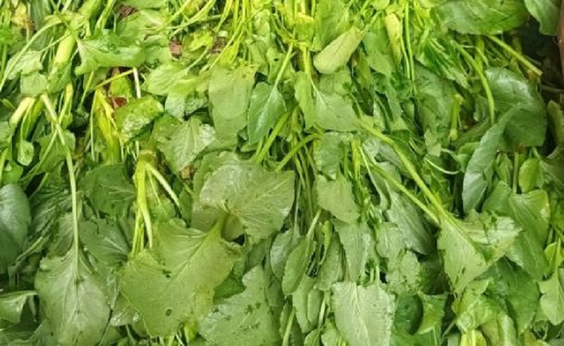 টক পালং শাকের অপকারিতা